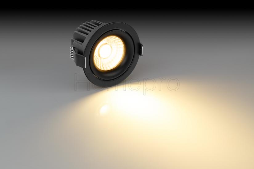 COLOR 15 B