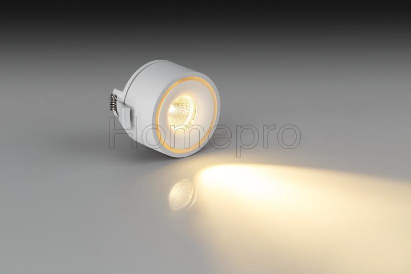 FOCUS IN MINI W DIM