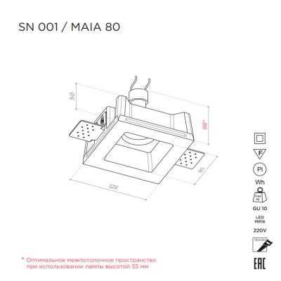 MAIA 80