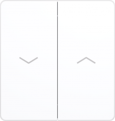 Выключатель управления для жалюзи и рольставней System Electric Infinity 10А/250В, арктический лед FSE000119
