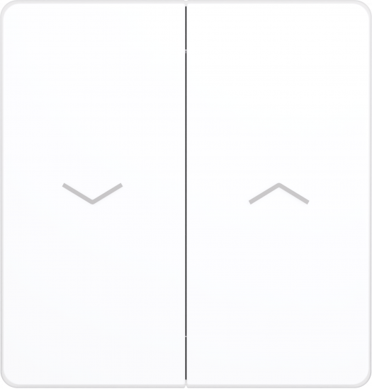 Выключатель управления для жалюзи и рольставней System Electric Infinity 10А/250В, арктический лед FSE000119