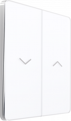 Выключатель управления для жалюзи и рольставней System Electric Infinity 10А/250В, арктический лед FSE000119