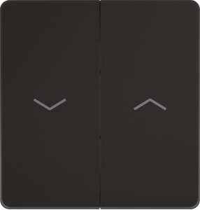 Выключатель управления для жалюзи и рольставней System Electric Infinity 10А/250В, полярная ночь FSE001019