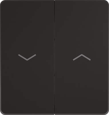 Выключатель управления для жалюзи и рольставней System Electric Infinity 10А/250В, полярная ночь FSE001019