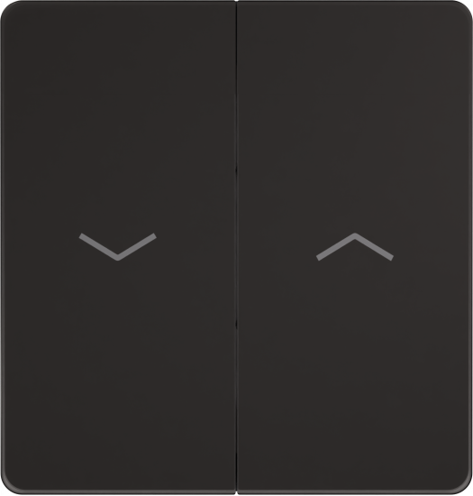Выключатель управления для жалюзи и рольставней System Electric Infinity 10А/250В, полярная ночь FSE001019