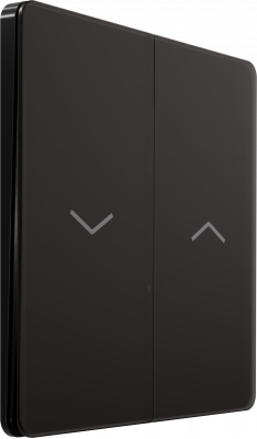 Выключатель управления для жалюзи и рольставней System Electric Infinity 10А/250В, полярная ночь FSE001019