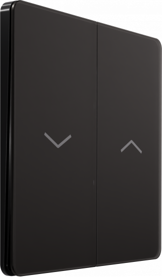 Выключатель управления для жалюзи и рольставней System Electric Infinity 10А/250В, полярная ночь FSE001019