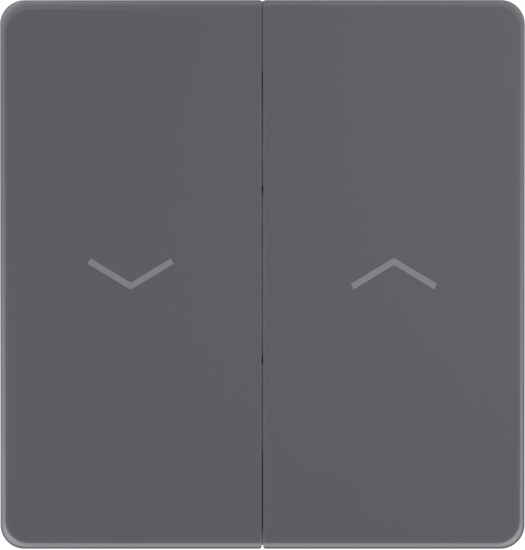 Выключатель управления для жалюзи и рольставней System Electric Infinity 10А/250В, вулканический пепел FSE000719