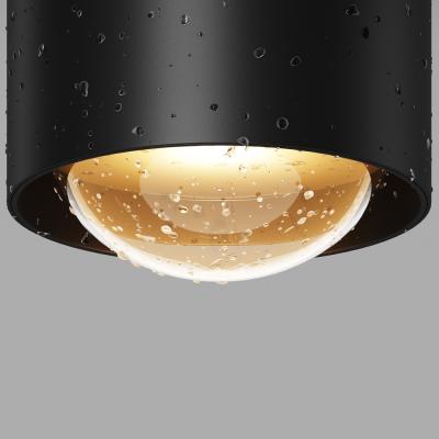 Потолочный светильник Люмина / Lumina 3000К 15Вт IP 65