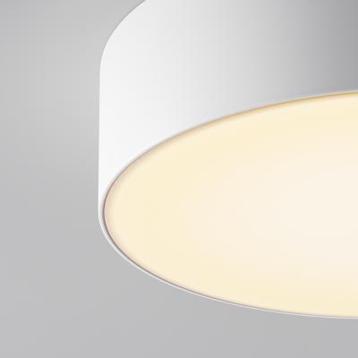 Потолочный светильник Зон / Zon IP 3000K 30Вт IP 65