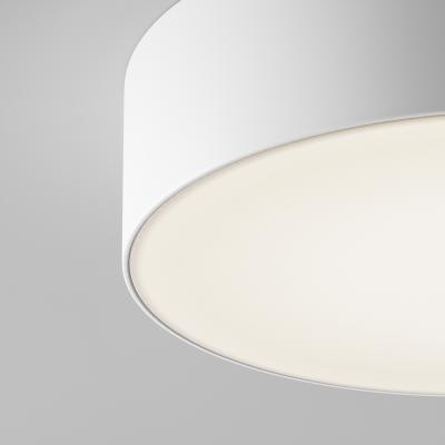 Потолочный светильник Зон / Zon IP 4000 30Вт IP 65