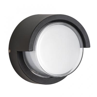 Уличный настенный светильник Lightstar PALETTO 382173