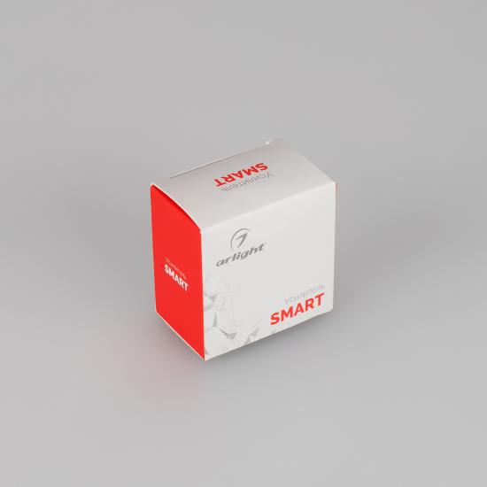 Контроллер-усилитель SMART-TRANSMITTER-30M-IN
