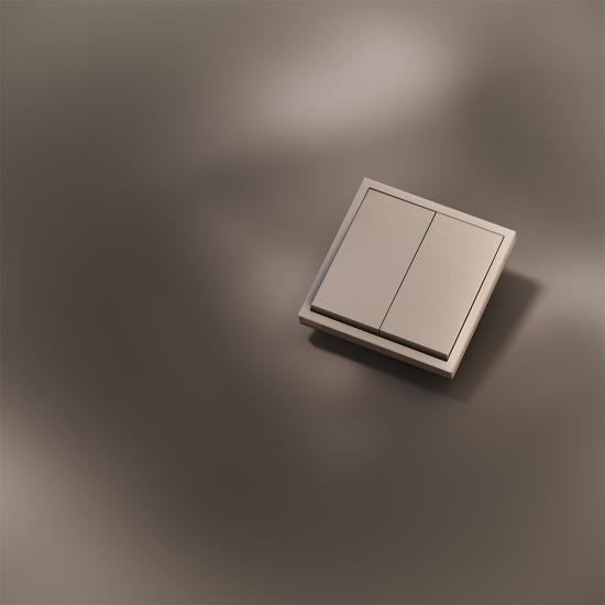 Клавиши для выключателя/переключателя двухклавишного, S70 Metal (платина)