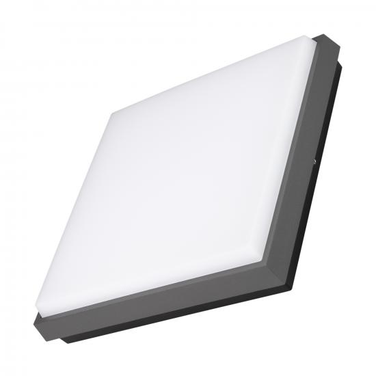 LGD-AREA-S240x240-25W Day4000