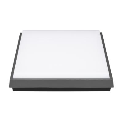 LGD-AREA-S240x240-25W Day4000