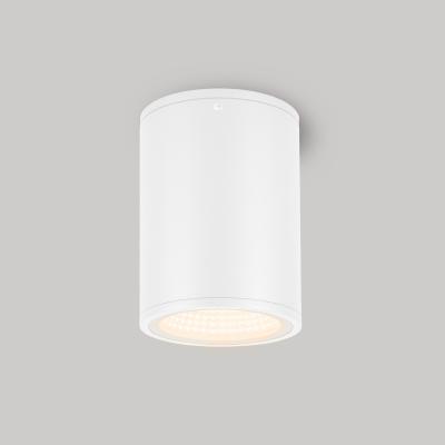 LGD-FORMA-SURFACE-R90-12W Day4000