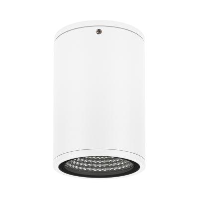 LGD-FORMA-SURFACE-R90-12W Day4000