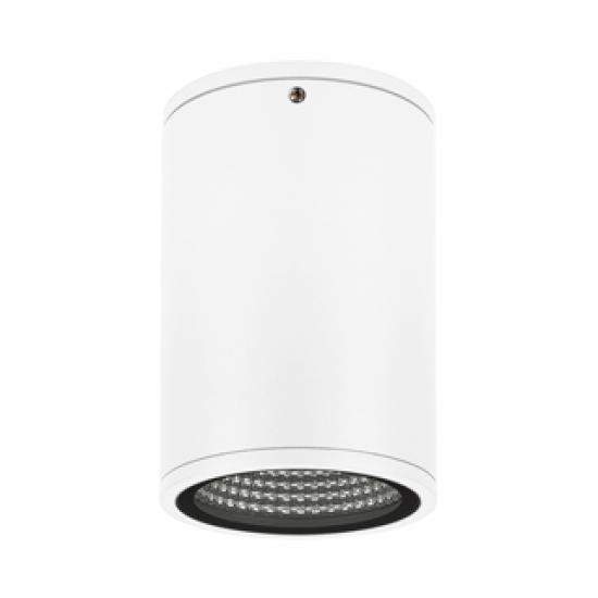 LGD-FORMA-SURFACE-R90-12W Day4000