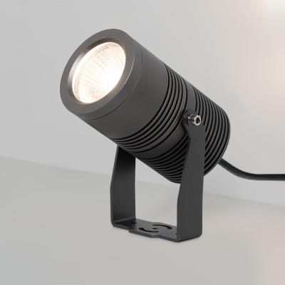 ALT-RAY-R89-25W Day4000