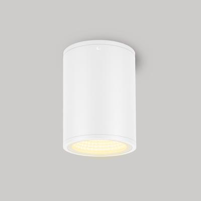 LGD-FORMA-SURFACE-R90-12W Warm3000