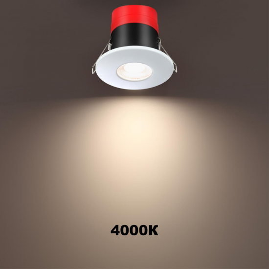 SPOT 358639