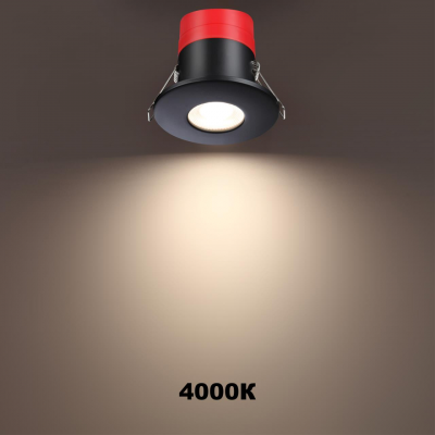 SPOT 358638