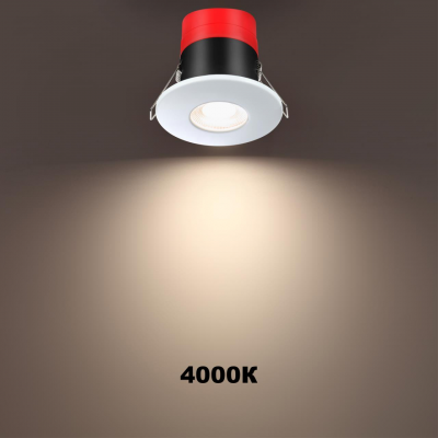 SPOT 358639