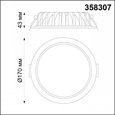SPOT 358307