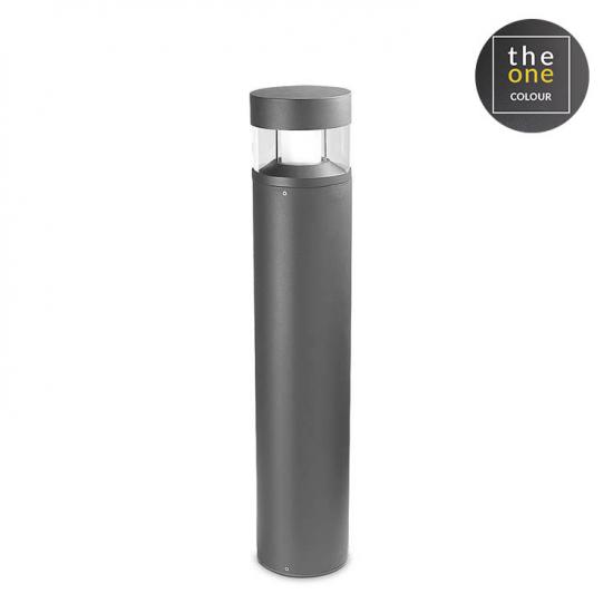 NEWTON 55-9791-Z5-CL