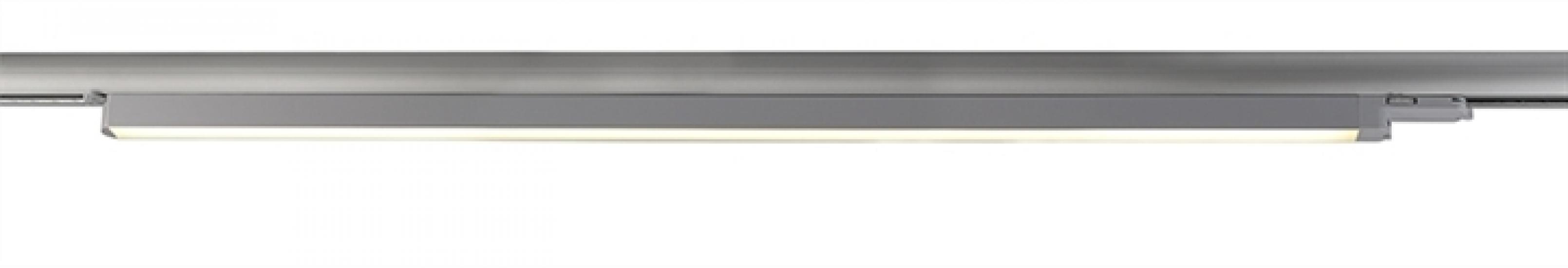 Linear 707053